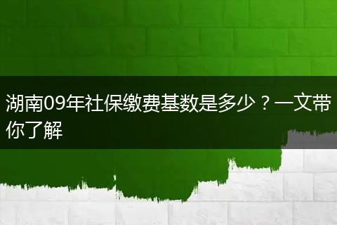 湖南09年社保缴费基数是多少？一文带你了解