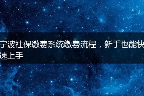宁波社保缴费系统缴费流程，新手也能快速上手