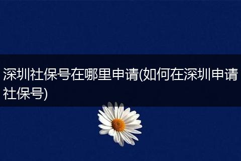 深圳社保号在哪里申请(如何在深圳申请社保号)