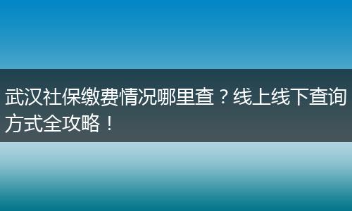 武汉社保缴费情况哪里查？线上线下查询方式全攻略！