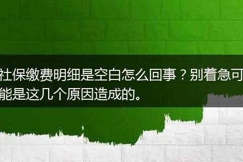 社保缴费明细是空白怎么回事?别着急可能是这几个原因造成的。