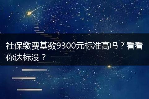 社保缴费基数9300元标准高吗？看看你达标没？