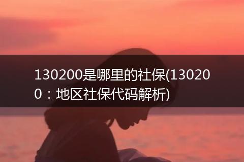 130200是哪里的社保(130200：地区社保代码解析)