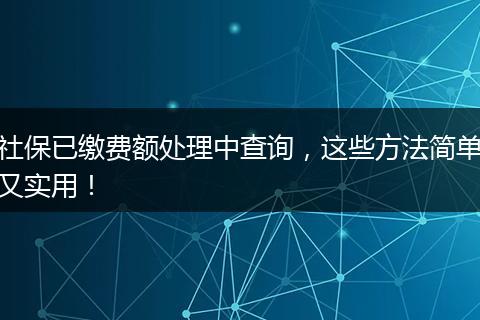 社保已缴费额处理中查询，这些方法简单又实用！