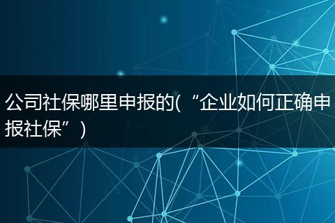 公司社保哪里申报的(“企业如何正确申报社保”)