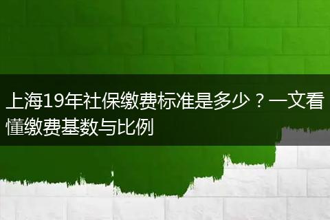 上海19年社保缴费标准是多少？一文看懂缴费基数与比例