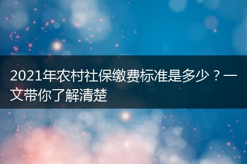 2021年农村社保缴费标准是多少？一文带你了解清楚