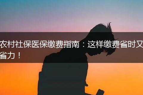 农村社保医保缴费指南：这样缴费省时又省力！
