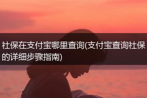 社保在支付宝哪里查询(支付宝查询社保的详细步骤指南)