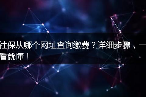 社保从哪个网址查询缴费？详细步骤，一看就懂！