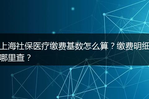 上海社保医疗缴费基数怎么算？缴费明细哪里查？