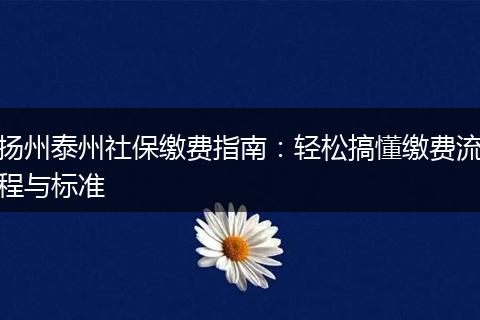 扬州泰州社保缴费指南：轻松搞懂缴费流程与标准