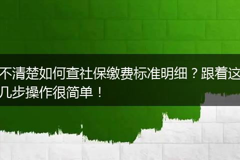 不清楚如何查社保缴费标准明细？跟着这几步操作很简单！