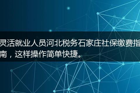 灵活就业人员河北税务石家庄社保缴费指南，这样操作简单快捷。