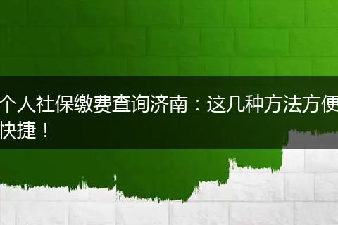 个人社保缴费查询济南：这几种方法方便快捷！