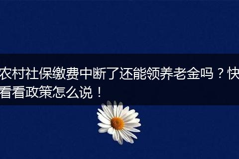 农村社保缴费中断了还能领养老金吗？快看看政策怎么说！
