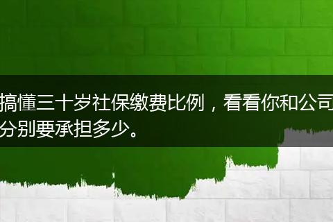 搞懂三十岁社保缴费比例，看看你和公司分别要承担多少。
