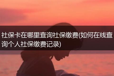 社保卡在哪里查询社保缴费(如何在线查询个人社保缴费记录)