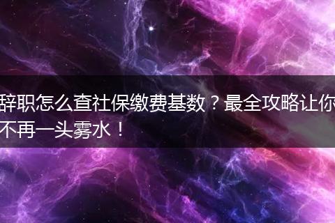 辞职怎么查社保缴费基数？最全攻略让你不再一头雾水！