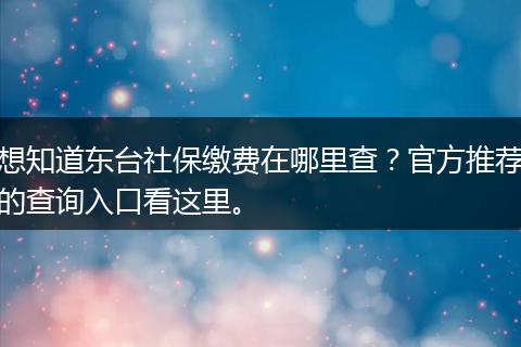 想知道东台社保缴费在哪里查？官方推荐的查询入口看这里。