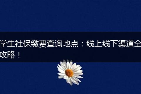 学生社保缴费查询地点：线上线下渠道全攻略！