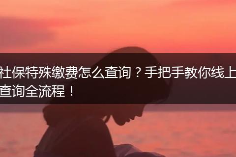 社保特殊缴费怎么查询？手把手教你线上查询全流程！