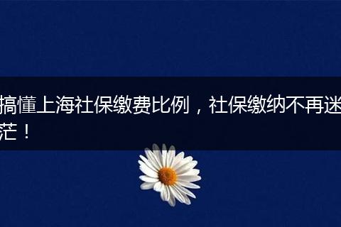 搞懂上海社保缴费比例，社保缴纳不再迷茫！