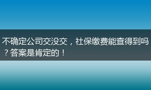 不确定公司交没交，社保缴费能查得到吗？答案是肯定的！