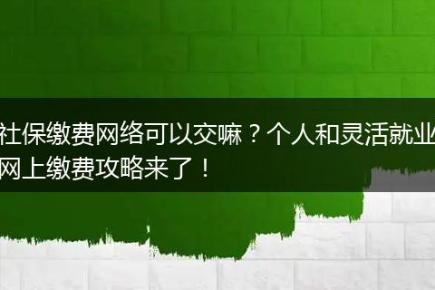 社保缴费网络可以交嘛？个人和灵活就业网上缴费攻略来了！