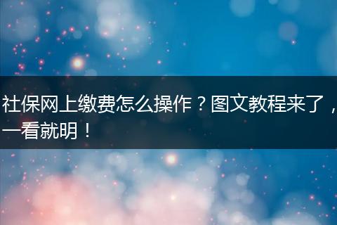 社保网上缴费怎么操作？图文教程来了，一看就明！