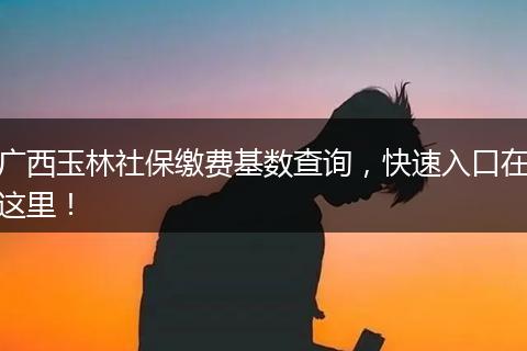 广西玉林社保缴费基数查询，快速入口在这里！