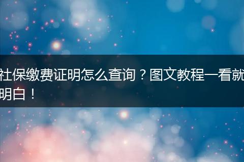 社保缴费证明怎么查询？图文教程一看就明白！