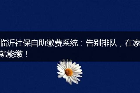临沂社保自助缴费系统:告别排队,在家就能缴!