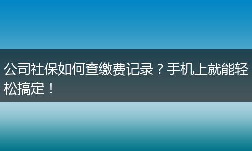公司社保如何查缴费记录？手机上就能轻松搞定！