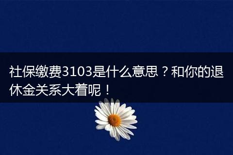 社保缴费3103是什么意思？和你的退休金关系大着呢！