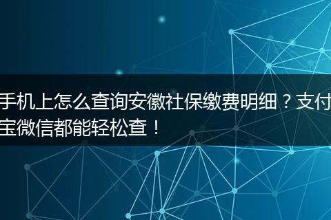 手机上怎么查询安徽社保缴费明细？支付宝微信都能轻松查！