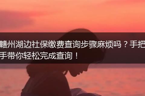 赣州湖边社保缴费查询步骤麻烦吗？手把手带你轻松完成查询！
