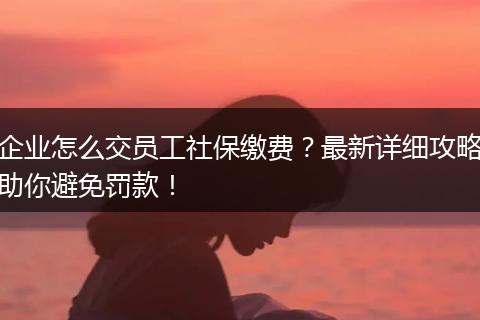 企业怎么交员工社保缴费？最新详细攻略助你避免罚款！