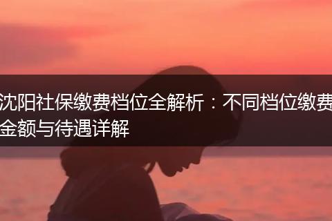 沈阳社保缴费档位全解析：不同档位缴费金额与待遇详解