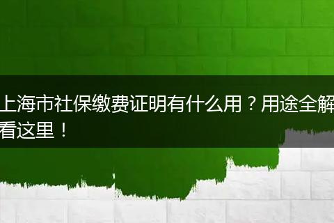 上海市社保缴费证明有什么用？用途全解看这里！
