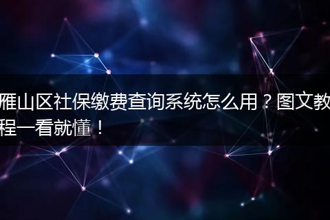 雁山区社保缴费查询系统怎么用？图文教程一看就懂！