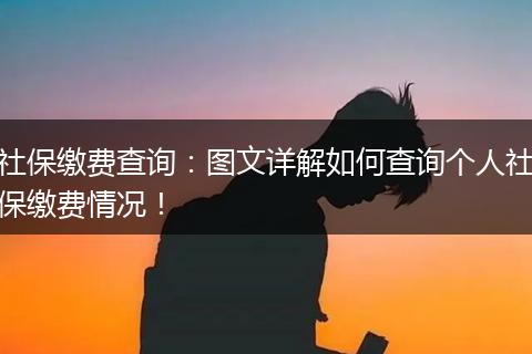 社保缴费查询：图文详解如何查询个人社保缴费情况！