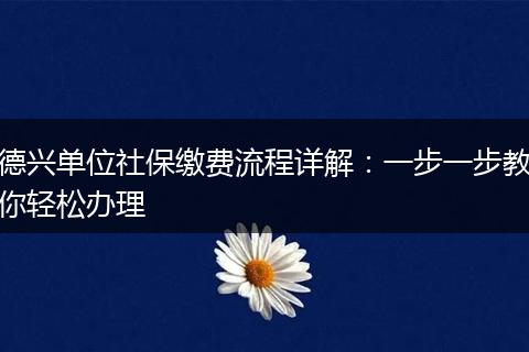 德兴单位社保缴费流程详解：一步一步教你轻松办理