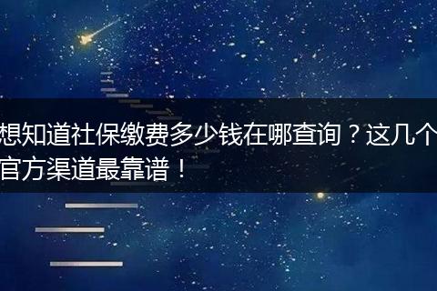 想知道社保缴费多少钱在哪查询？这几个官方渠道最靠谱！