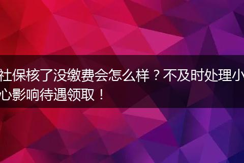 社保核了没缴费会怎么样?不及时处理小心影响待遇领取!