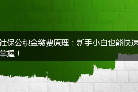 社保公积金缴费原理：新手小白也能快速掌握！