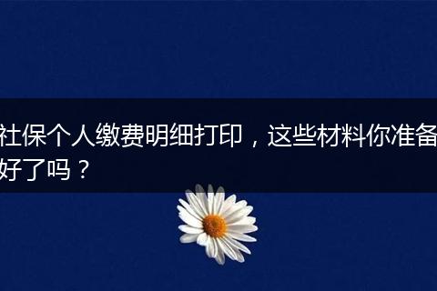 社保个人缴费明细打印,这些材料你准备好了吗?