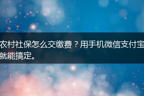 农村社保怎么交缴费？用手机微信支付宝就能搞定。