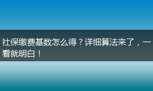 社保缴费基数怎么得？详细算法来了，一看就明白！