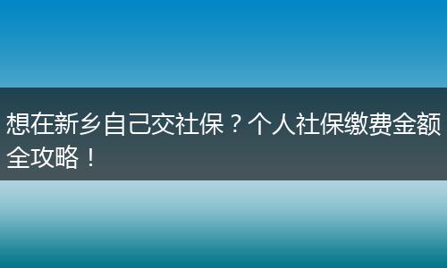 想在新乡自己交社保？个人社保缴费金额全攻略！